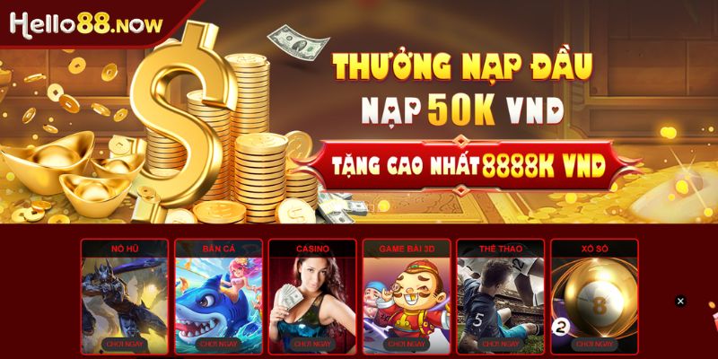 CEO Hào Dimo Tăng trưởng doanh thu